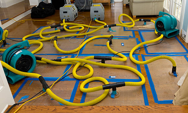 Professional Structural Drying And Dehumidification technician working in Williston, OH
